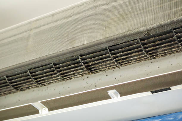 Best HVAC Maintenance and Cleaning  in Huntsville, MO